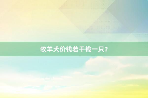 牧羊犬价钱若干钱一只？