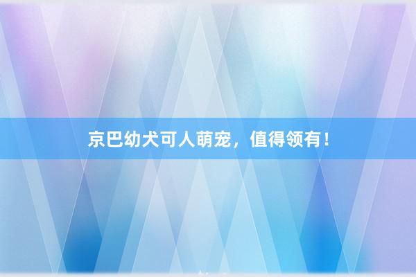 京巴幼犬可人萌宠，值得领有！